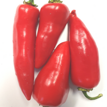 Piment fort ‘Kalugaritsa’ bio (<em>Capsicum annuum</em> ‘Kalugaritsa’)
