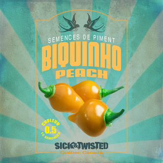 Vue rapprochée de Piment ‘Biquinho Peach’ cultivé au soleil, avec un feuillage vert sain et des fruits caractéristiques bien visibles. La photo montre la forme, la couleur et le stade de maturité typiques de la variété sur un plant vigoureux. Les fruits se détachent nettement du feuillage et illustrent l’apparence recherchée au moment de la récolte.