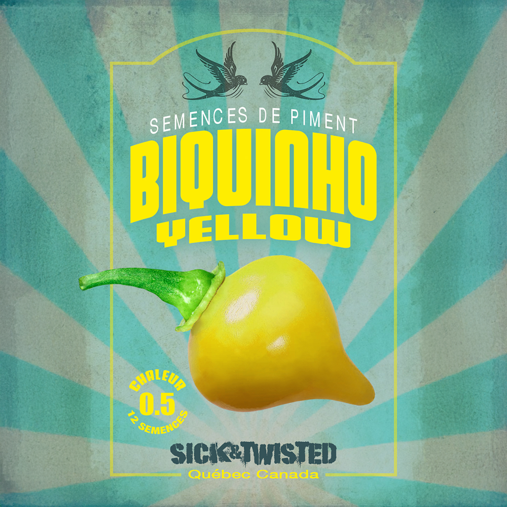 Yellow Biquinho pepper (<em>Capsicum chinense</em> ‘Yellow Biquinho’)