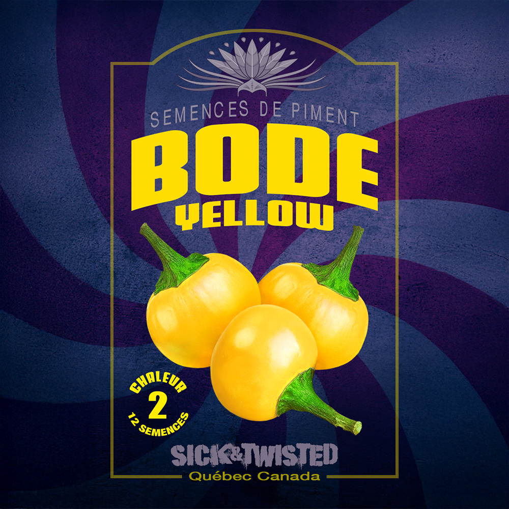 Bode Yellow hot pepper (<em>Capsicum chinense</em> ‘Bode Amarela’)