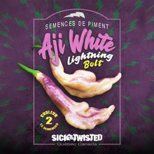 Aji White Lightning Bolt hot pepper (<em>Capsicum baccatum</em> ‘Aji White Lightning Bolt’)