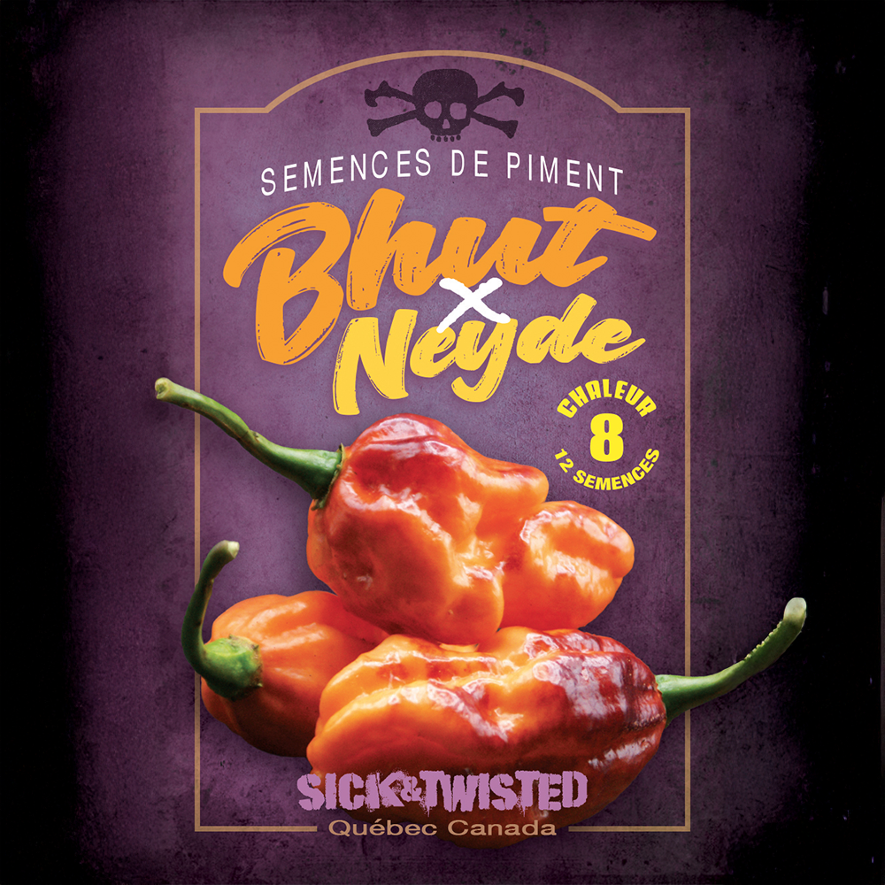 Bhut x Neyde hot pepper (<em>Capsicum</em> spp.)