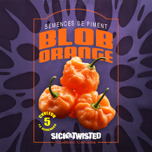 Blob Orange hot pepper (<em>Capsicum</em> sp.)