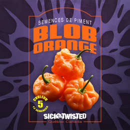 Piment fort 'Blob Orange'