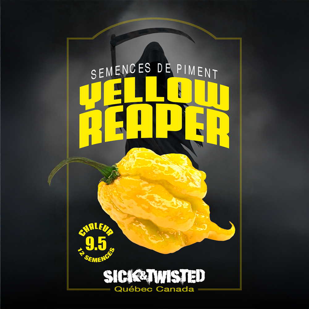 Yellow Reaper hot pepper (<em>Capsicum chinense</em> ‘Yellow Reaper’)