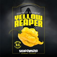 Yellow Reaper hot pepper (<em>Capsicum chinense</em> ‘Yellow Reaper’)