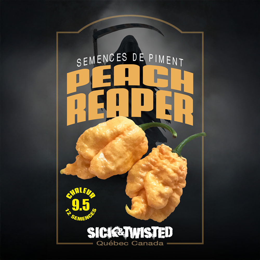 ‘Peach Reaper’ hot pepper