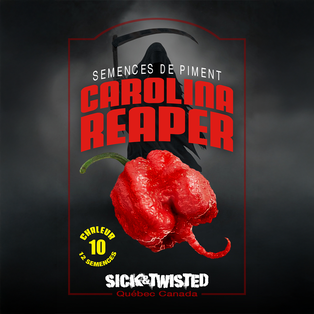 ‘Carolina Reaper’ hot pepper (<em>Capsicum chinense</em>)