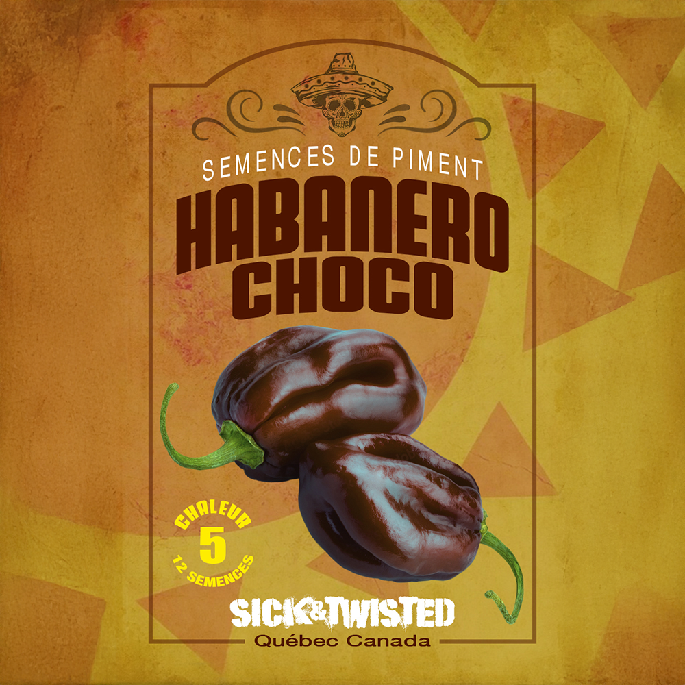 Chocolate Habanero hot pepper (<em>Capsicum chinense</em>)
