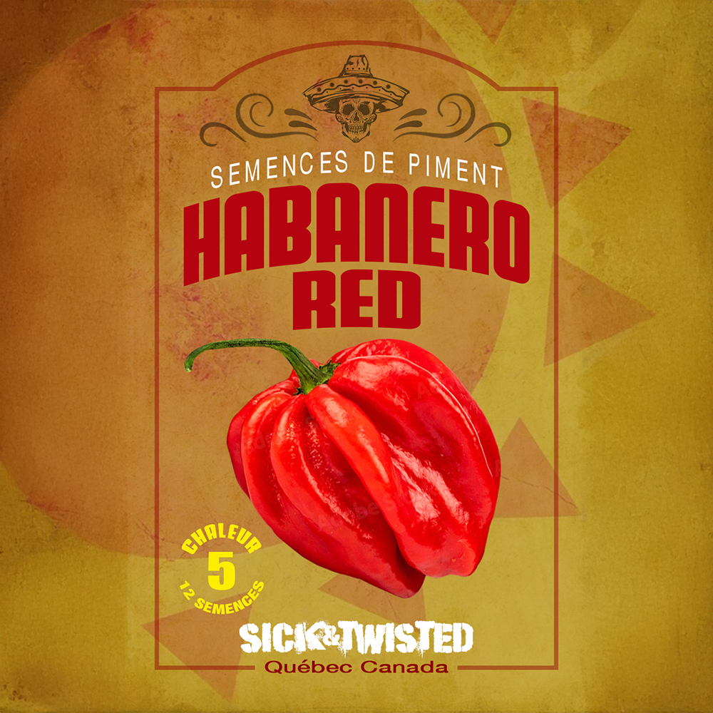 Piment fort 'Habanero Rouge'