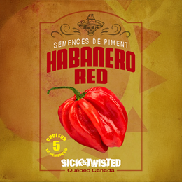 Red Habanero Hot Pepper
