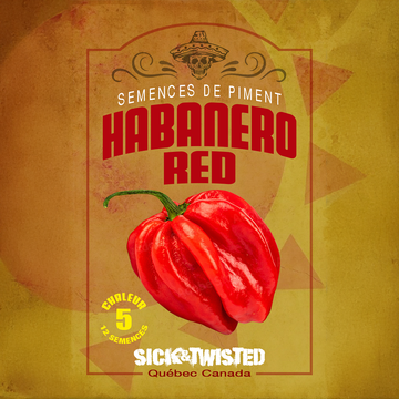 Piment fort 'Habanero Rouge'