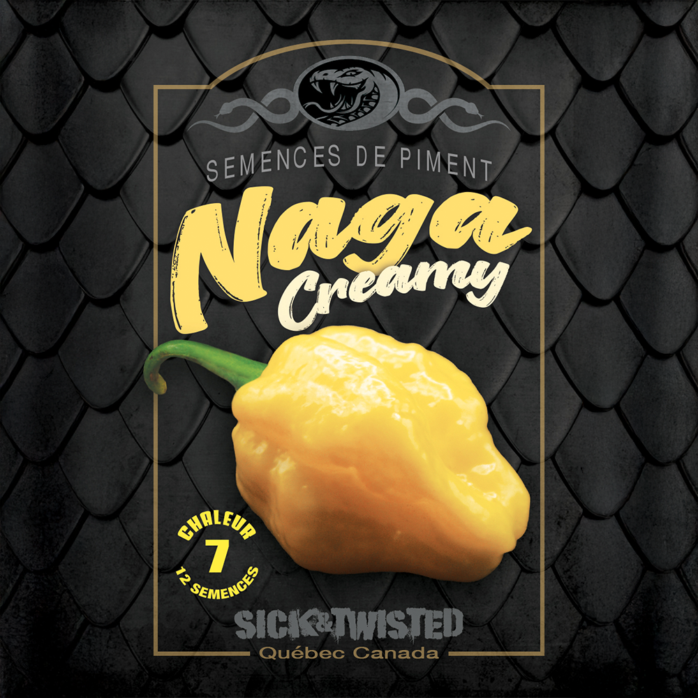Naga Creamy hot pepper (<em>Capsicum chinense</em> ‘Naga Creamy’)