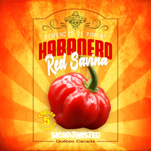 Habanero Red Savina hot pepper (<em>Capsicum chinense</em> ‘Red Savina’)
