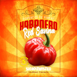 Hot pepper 'Habanero Red Savina'