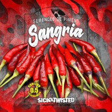 Sangria ornamental pepper (<em>Capsicum annuum</em> ‘Sangria’)