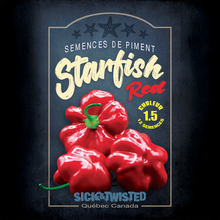 Starfish Red hot pepper (<em>Capsicum baccatum</em> ‘Brazilian Starfish Red’)