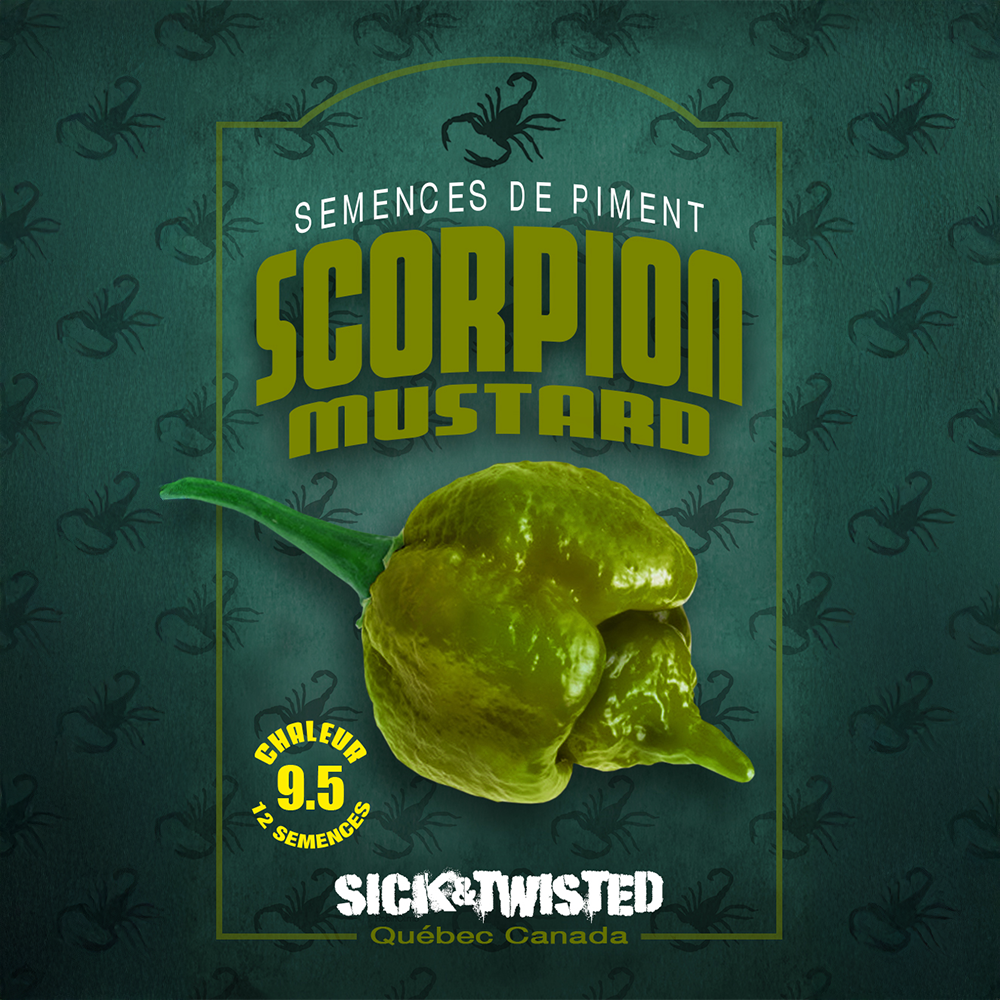 Scorpion Mustard hot pepper (<em>Capsicum chinense</em> ‘Scorpion Mustard’)
