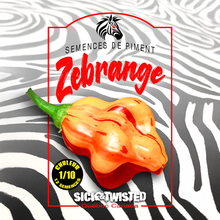 Zebrange hot pepper (<em>Capsicum baccatum</em> ‘Zebrange’)