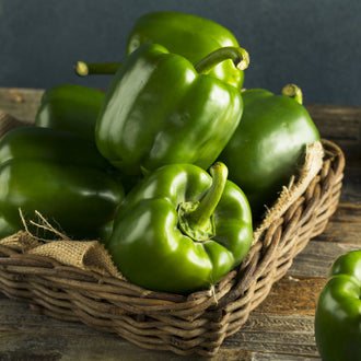 Photographie de Poivron vert (Capsicum annuum), sélection proposée en semences W.H. Perron. Le visuel présente l’apparence de la plante ou de sa récolte et permet d’en observer les formes et les couleurs. Cette vue illustre les caractéristiques visibles de la sélection, dans une présentation destinée à accompagner son identification et à montrer son intérêt au jardin.