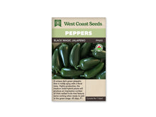 Sachet West Coast Seeds de piment Black Magic Jalapeno, avec bandeau vert et marque biologique ronde près de la photo. Des fruits verts très foncés, lisses et brillants sont groupés sur un fond sombre. Ils sont trapus, allongés et terminés par une pointe arrondie. Plusieurs pédoncules verts sont visibles. Le bas beige contient le texte descriptif.