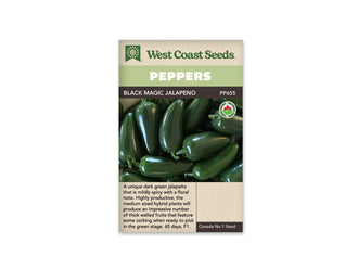 Sachet West Coast Seeds de piment Black Magic Jalapeno, avec bandeau vert et marque biologique ronde près de la photo. Des fruits verts très foncés, lisses et brillants sont groupés sur un fond sombre. Ils sont trapus, allongés et terminés par une pointe arrondie. Plusieurs pédoncules verts sont visibles. Le bas beige contient le texte descriptif.