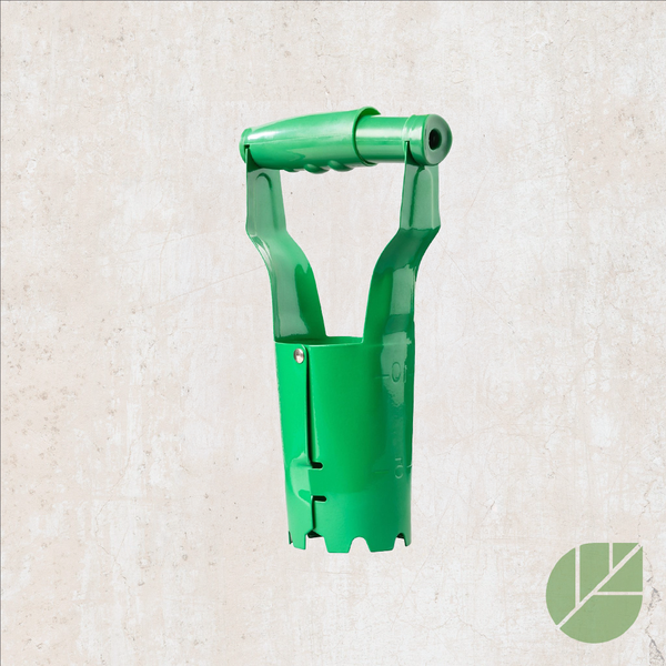 Plantoir à bulbes vert