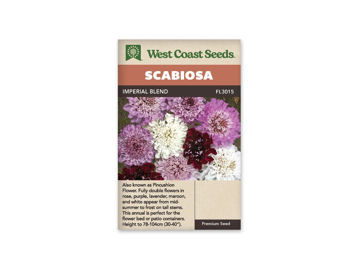 Sachet West Coast Seeds portant les mentions Scabiosa et Imperial Blend. La photo centrale rassemble des fleurs arrondies mauves, roses, blanches et bordeaux, vues de près. Leurs nombreux petits pétales forment des capitules fournis. Le nom apparaît sur une bande foncée sous un bandeau orange, avec le logo vert de la marque au sommet du sachet.