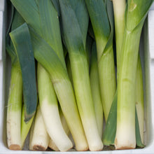 Organic 'Alto' Leek