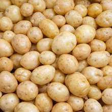 'Solyn' baby potato