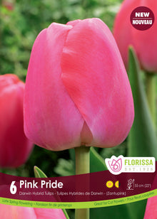 Tulipe Pink Pride ( Tulipa ) : une tulipe rose clair à base plus pâle. Le visuel Florissa présente la plante et son nom dans la partie inférieure de l’étiquette. La photographie occupe presque toute la surface, tandis que le bandeau du bas rassemble les indications du produit. Cette vue permet de reconnaître son apparence et de distinguer la variété présentée.