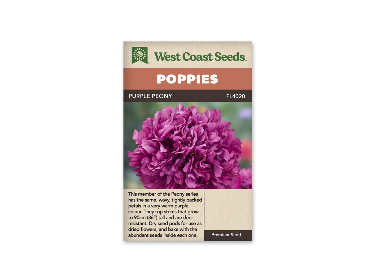Sachet Purple Peony de West Coast Seeds sur fond blanc. La photo montre un gros pompon pourpre et magenta, formé de nombreux pétales serrés et froissés. Une autre fleur apparaît en partie dans le coin inférieur droit, devant un fond vert flou. Le bandeau orange indique Poppies et la bande brune porte Purple Peony, code FL4020.