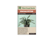 Sachet Baby Blue Spiral de West Coast Seeds sur fond blanc. La photo montre des rameaux aux petites feuilles rondes gris bleu dans un pot sombre à rainures. Les tiges partent dans plusieurs directions devant un fond vert pâle. Le bandeau orangé indique Eucalyptus; la bande brune porte Baby Blue Spiral et le code FL4059.