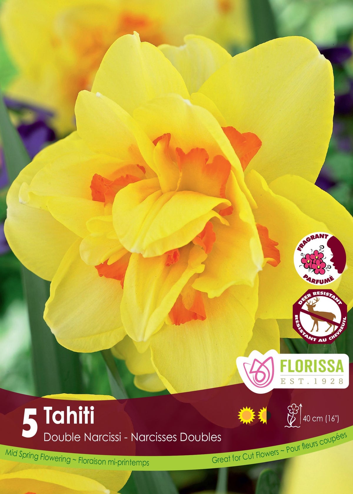 Narcisse Tahiti