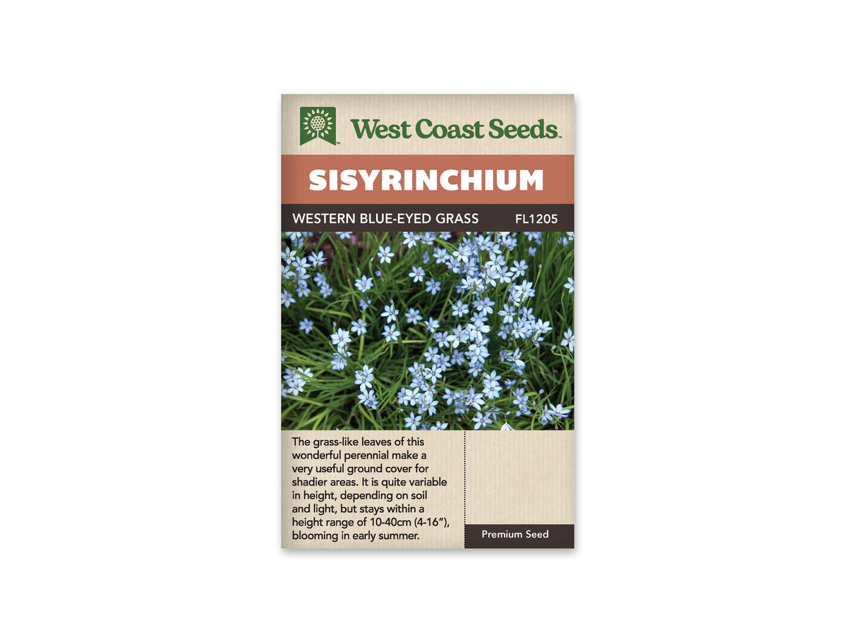 Le sachet West Coast Seeds montre de nombreuses petites fleurs bleu pâle à centre jaune. Les fleurs étoilées se répartissent au-dessus de feuilles vertes longues et étroites, avec quelques boutons encore fermés. Plusieurs touffes se mêlent pour former une plantation basse et légère. Le bandeau porte le nom Western Blue-Eyed Grass et la référence FL1205.