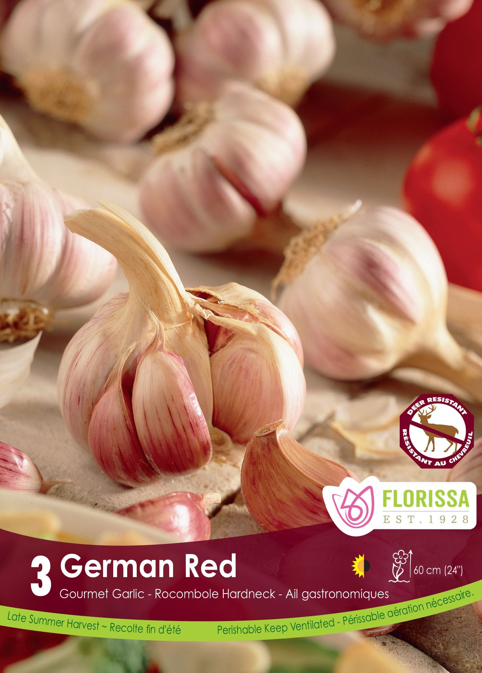 Ail German Red (<em>Allium sativum var. ophioscorodon</em> ‘German Red’)