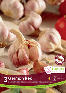 Ail German Red (<em>Allium sativum var. ophioscorodon</em> ‘German Red’)