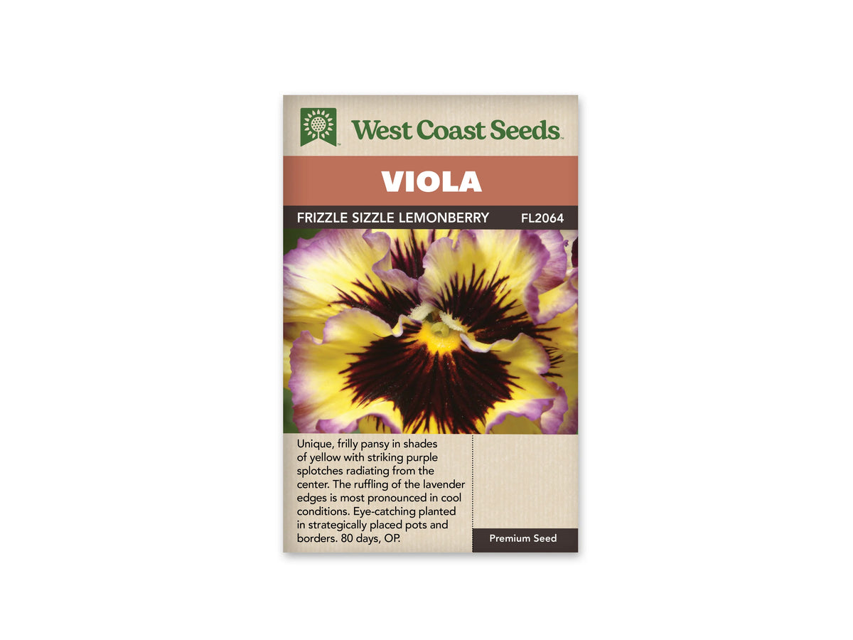 Sachet West Coast Seeds Frizzle Sizzle Lemonberry montrant une pensée jaune en gros plan. De grandes marques pourpres rayonnent depuis le centre, et les bords ondulés des pétales sont teintés de lavande. Le petit cœur jaune reste visible. Le nom de la sélection figure dans le bandeau brun sous le titre blanc.