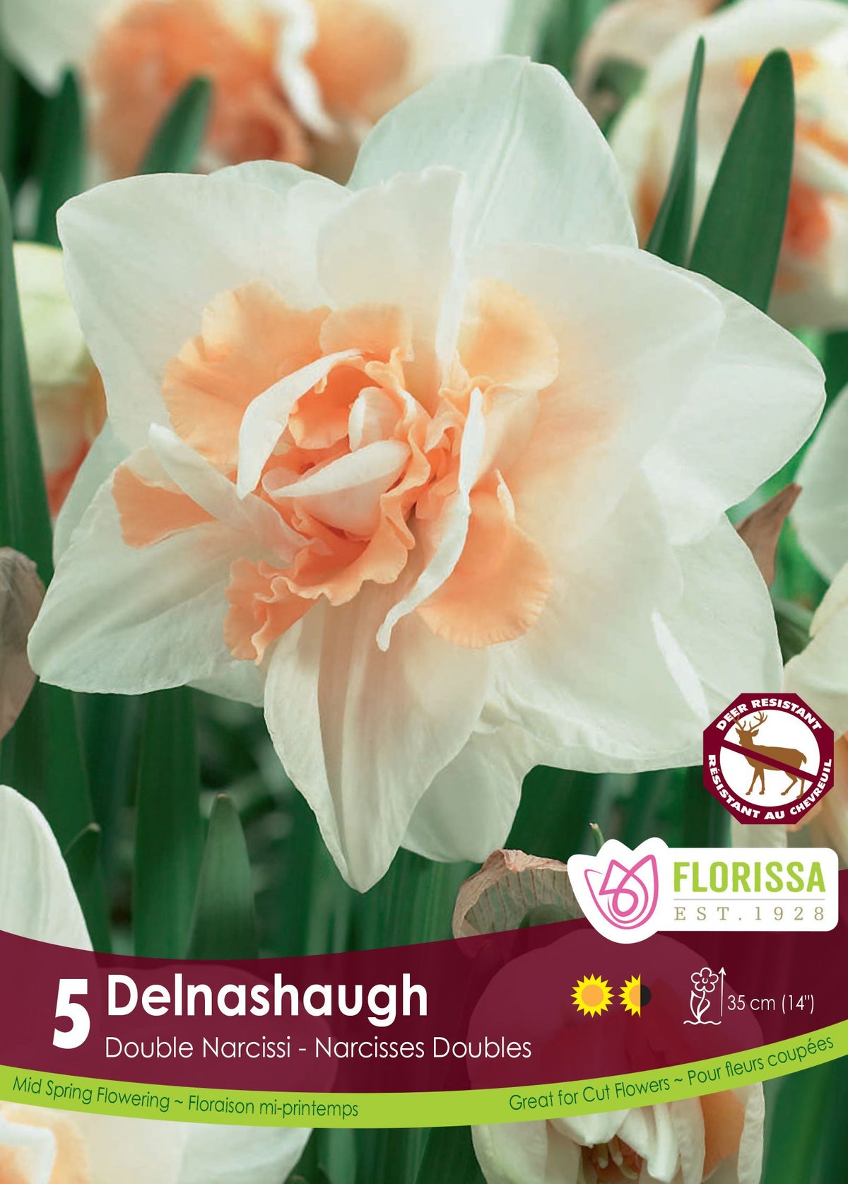Narcisse Delnashaugh ( Narcissus ) : un narcisse double blanc à cœur rose pêche. Le visuel Florissa présente la plante et son nom dans la partie inférieure de l’étiquette. La photographie occupe presque toute la surface, tandis que le bandeau du bas rassemble les indications du produit. Cette vue permet de reconnaître son apparence et de distinguer la variété présentée.