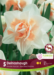 Narcisse Delnashaugh ( Narcissus ) : un narcisse double blanc à cœur rose pêche. Le visuel Florissa présente la plante et son nom dans la partie inférieure de l’étiquette. La photographie occupe presque toute la surface, tandis que le bandeau du bas rassemble les indications du produit. Cette vue permet de reconnaître son apparence et de distinguer la variété présentée.