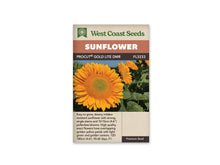 Sachet beige de semences ProCut Gold Lite DMR avec bandeau terre cuite et nom sur fond brun. Une grande fleur jaune orangé occupe l'avant de la photographie. Ses pétales chevauchants entourent un disque doré au centre verdâtre. Plusieurs autres fleurs se dressent derrière elle parmi de grandes feuilles vertes, sous un ciel bleu gris.