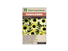 Sachet beige de semences Italian White avec bandeau terre cuite et nom sur fond brun. La photographie montre un groupe serré de petites fleurs jaune très pâle, presque blanches, à disques noirs. Les pétales allongés sont disposés en rayons, certains légèrement recourbés. Un feuillage sombre se devine entre les fleurs qui remplissent toute l'image.