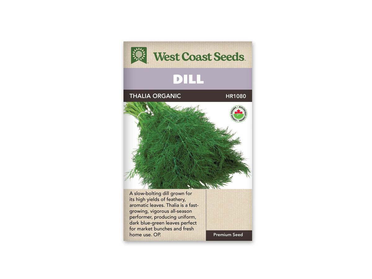 Sachet d’aneth Thalia West Coast Seeds présenté de face sur fond blanc. La photographie montre des tiges réunies portant un feuillage vert fin, découpé en nombreux segments. Le bandeau mauve porte le nom DILL THALIA ORGANIC. La partie beige inférieure contient une description en anglais, accompagnée d’un logo de certification biologique.