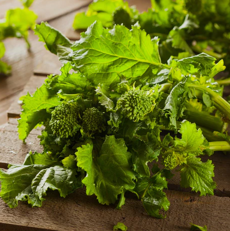 Rapini Spring Raab. Feuillage vert de rapini, avec ses tiges dressées. Le cadrage permet de voir les formes, les couleurs et les détails du sujet représenté. Les contours se détachent du fond de l’image, avec des différences de teinte et de texture visibles sur les surfaces. Cette vue accompagne la présentation du produit dans la boutique.