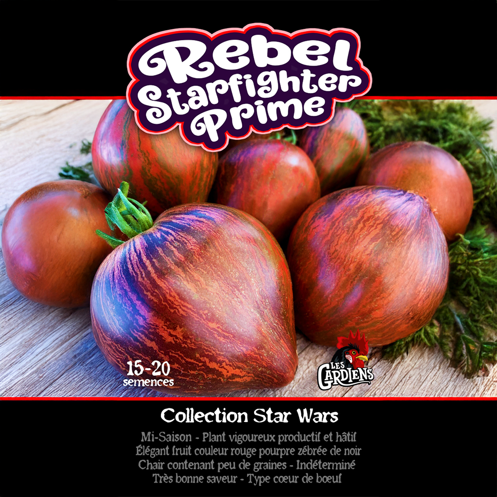 Rebel Starfighter tomato (<em>Solanum lycopersicum</em> ‘Rebel Starfighter’)