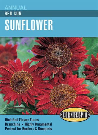 Visuel officiel de Cornucopia associé aux semences de Tournesol ‘Red Sun’, référence CS257. Cette référence propose la variété de tournesol Red Sun. Elle se cultive au soleil pour sa floraison décorative dans les massifs. Cette image accompagne la fiche de cette sélection et permet de repérer le produit correspondant dans le catalogue de semences.