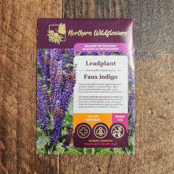 Blue False Indigo
