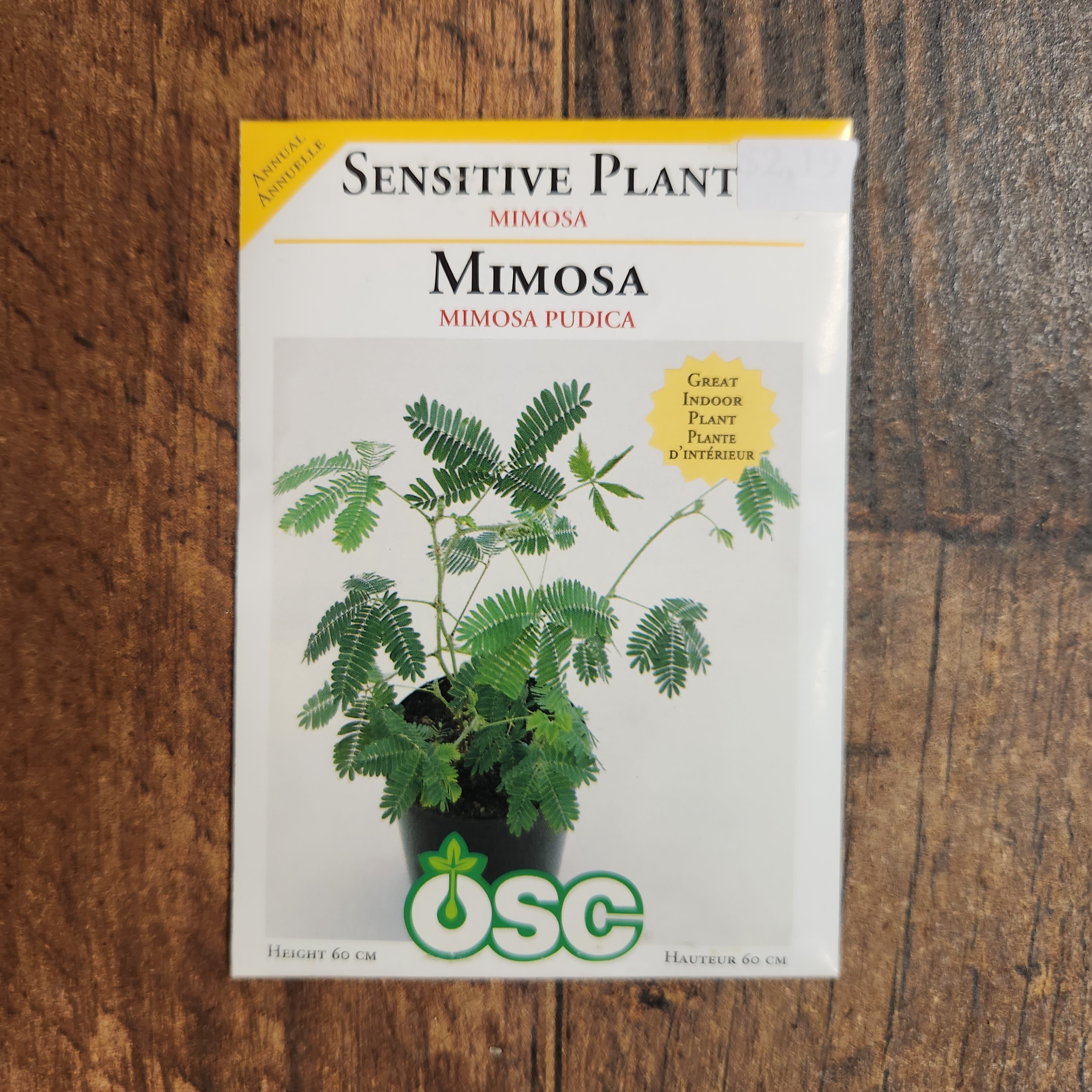 OSC Seeds | Sensitive Plant Seeds 'Mimosa Pudica' – An Interactive