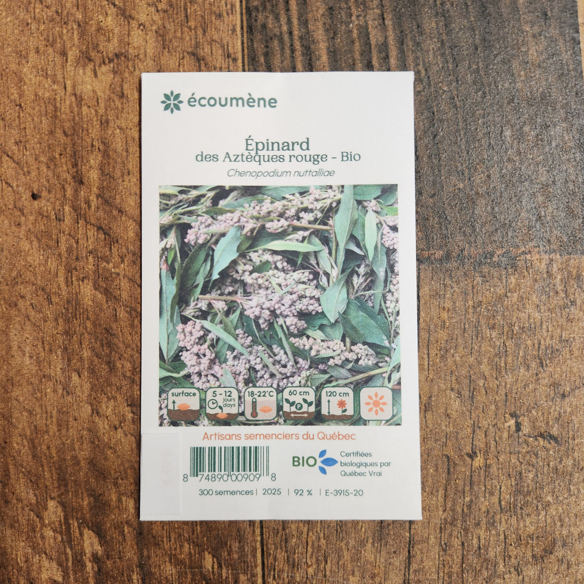 Sachet de semences Épinard des Aztèques rouge. Emballage blanc photographié de face sur un fond de bois brun. Une image du végétal occupe la partie centrale, sous le nom imprimé. De petits pictogrammes et un code-barres apparaissent au bas du sachet. La marque Écoumène figure dans la partie supérieure de cette présentation.