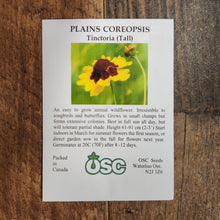 Plains Coreopsis